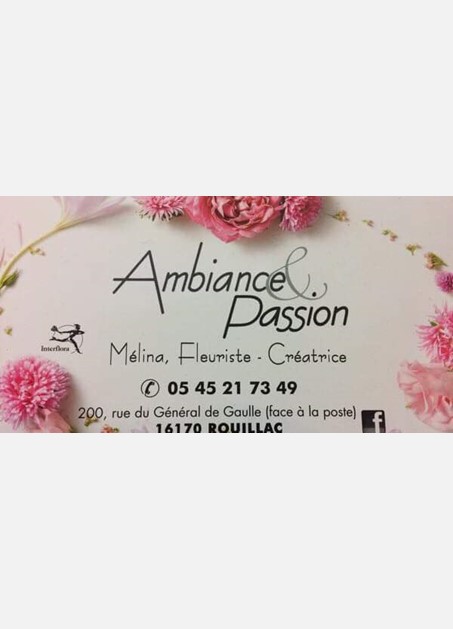 logo ambiance et passion